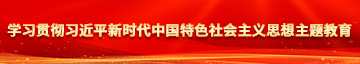 叉女人逼视频影院学习贯彻习近平新时代中国特色社会主义思想主题教育